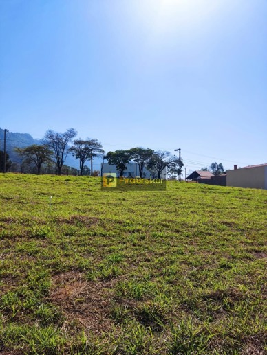 Terreno à Venda, 300,00 m² - Foto 9