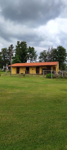 Rural com 3 Quartos à Venda, 220.000,00 m² - Foto 10