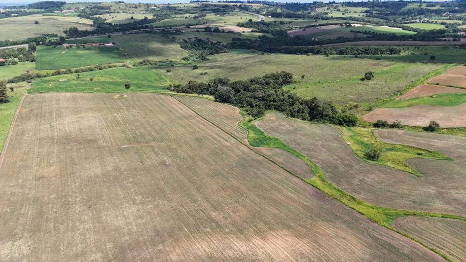 Rural com 3 Quartos à Venda, 307.000,00 m² - Foto 14