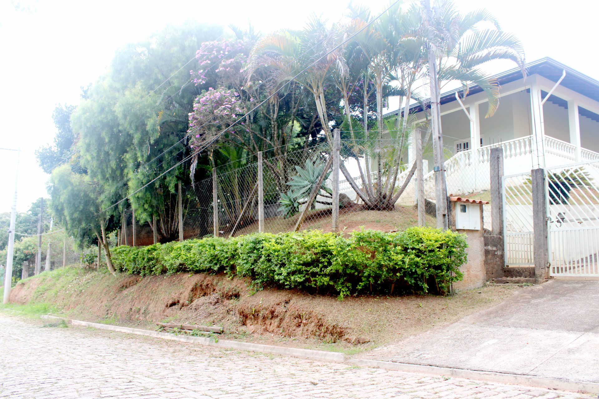 Rural com 4 Quartos à Venda, 3.000,00 m² - Foto 24