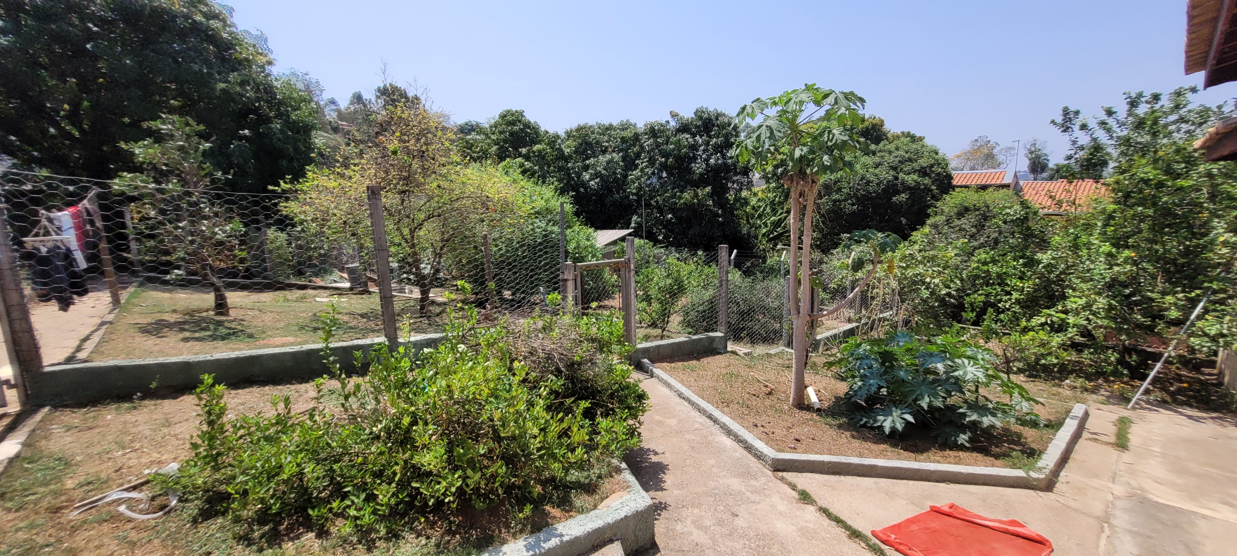 Rural com 2 Quartos à Venda, 247,64 m² - Foto 17