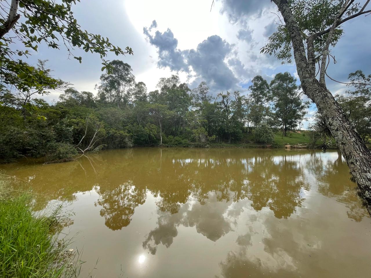 Rural com 6 Quartos à Venda, 502.000,00 m² - Foto 15