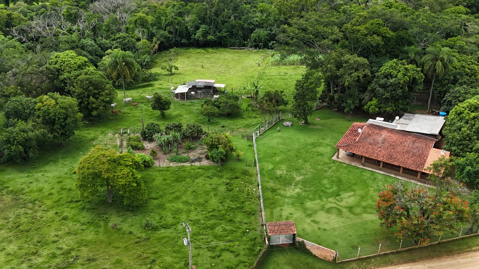 Rural com 3 Quartos à Venda, 160.000,00 m² - Foto 3