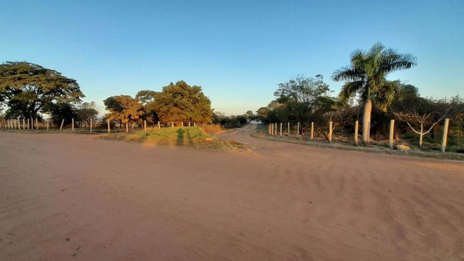 Terreno à Venda - Foto 4