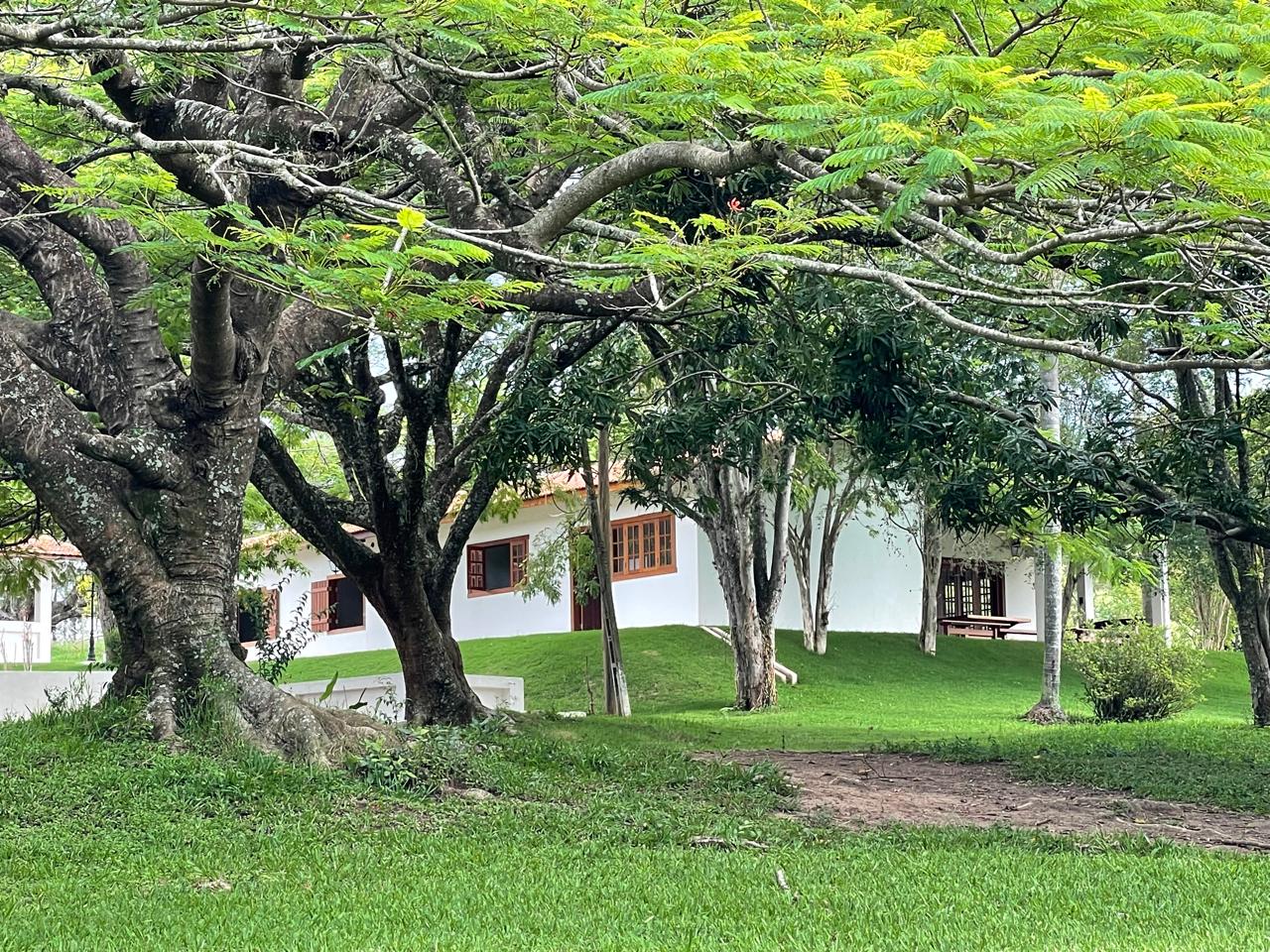 Rural com 6 Quartos à Venda, 502.000,00 m² - Foto 14