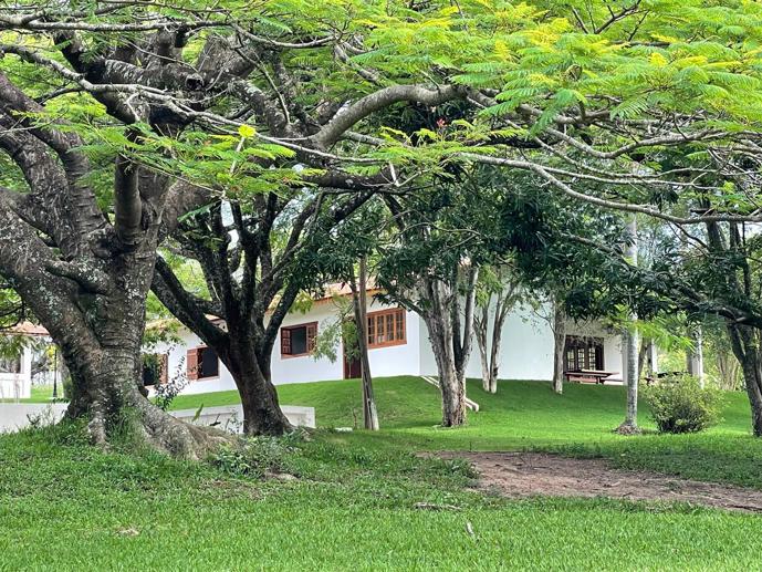Rural com 6 Quartos à Venda, 502.000,00 m² - Foto 14