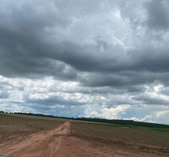 Rural com 4 Quartos à Venda, 240,00 m² - Foto 17