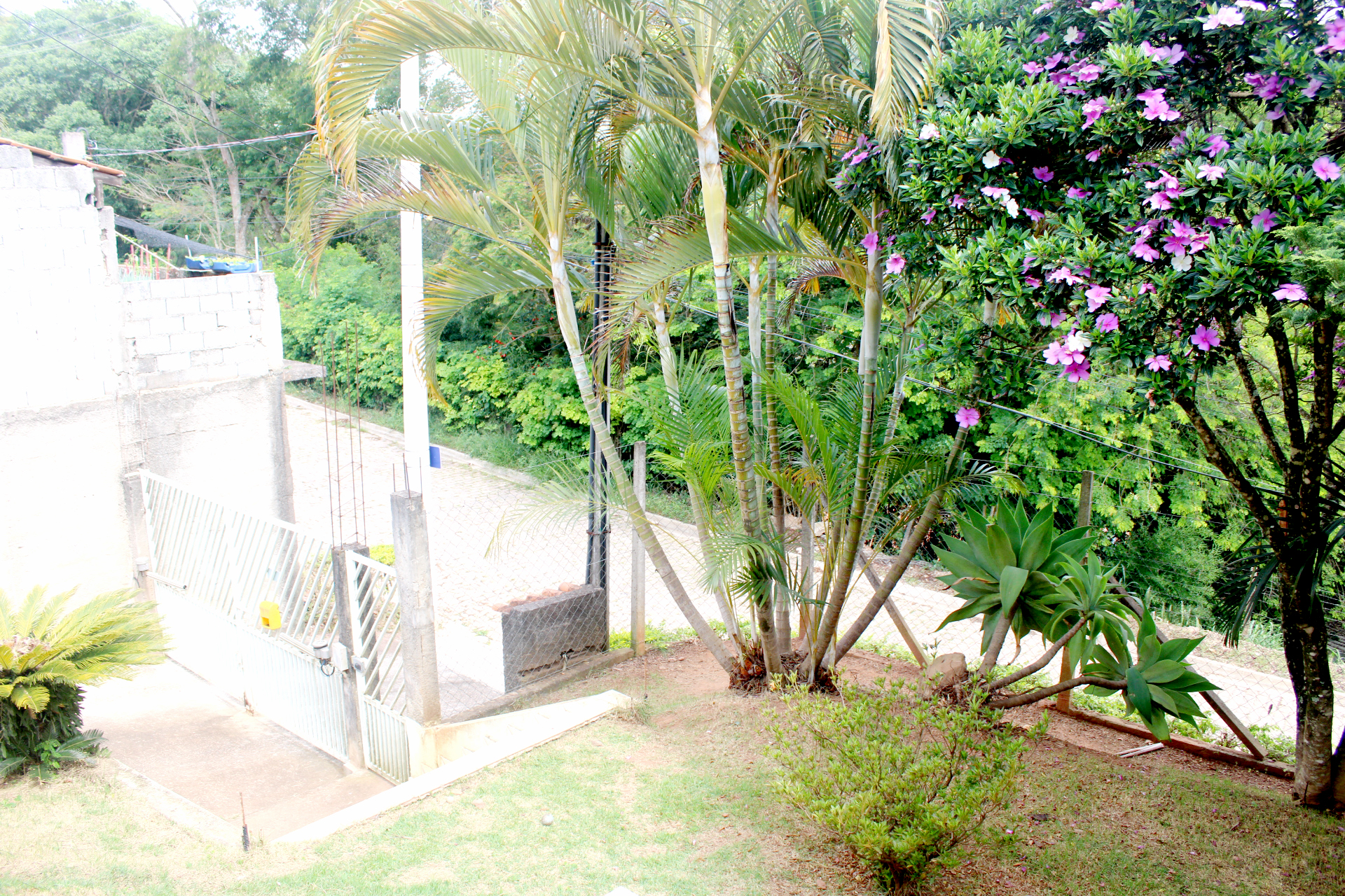 Rural com 4 Quartos à Venda, 3.000,00 m² - Foto 6