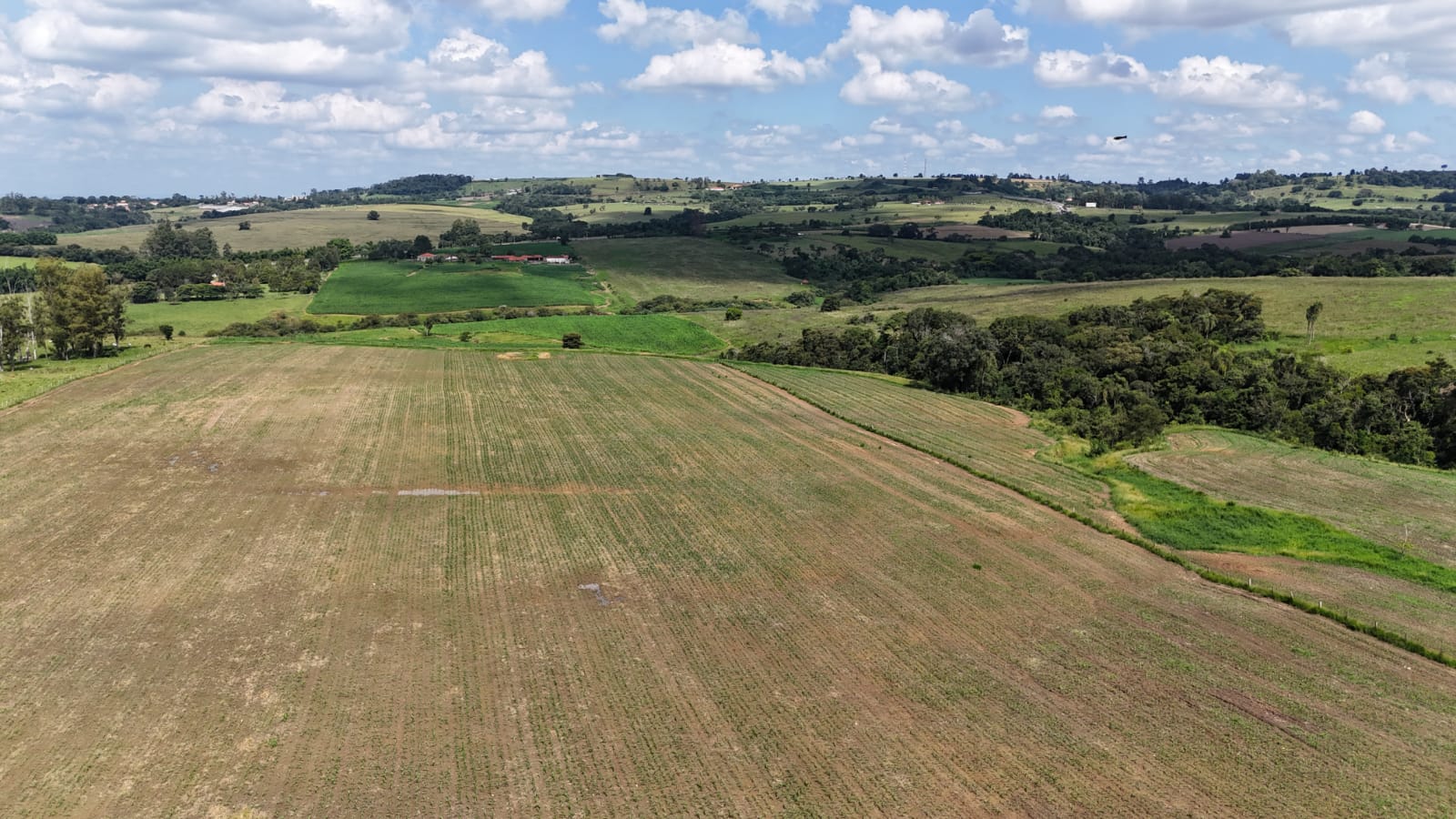 Rural com 3 Quartos à Venda, 307.000,00 m² - Foto 13