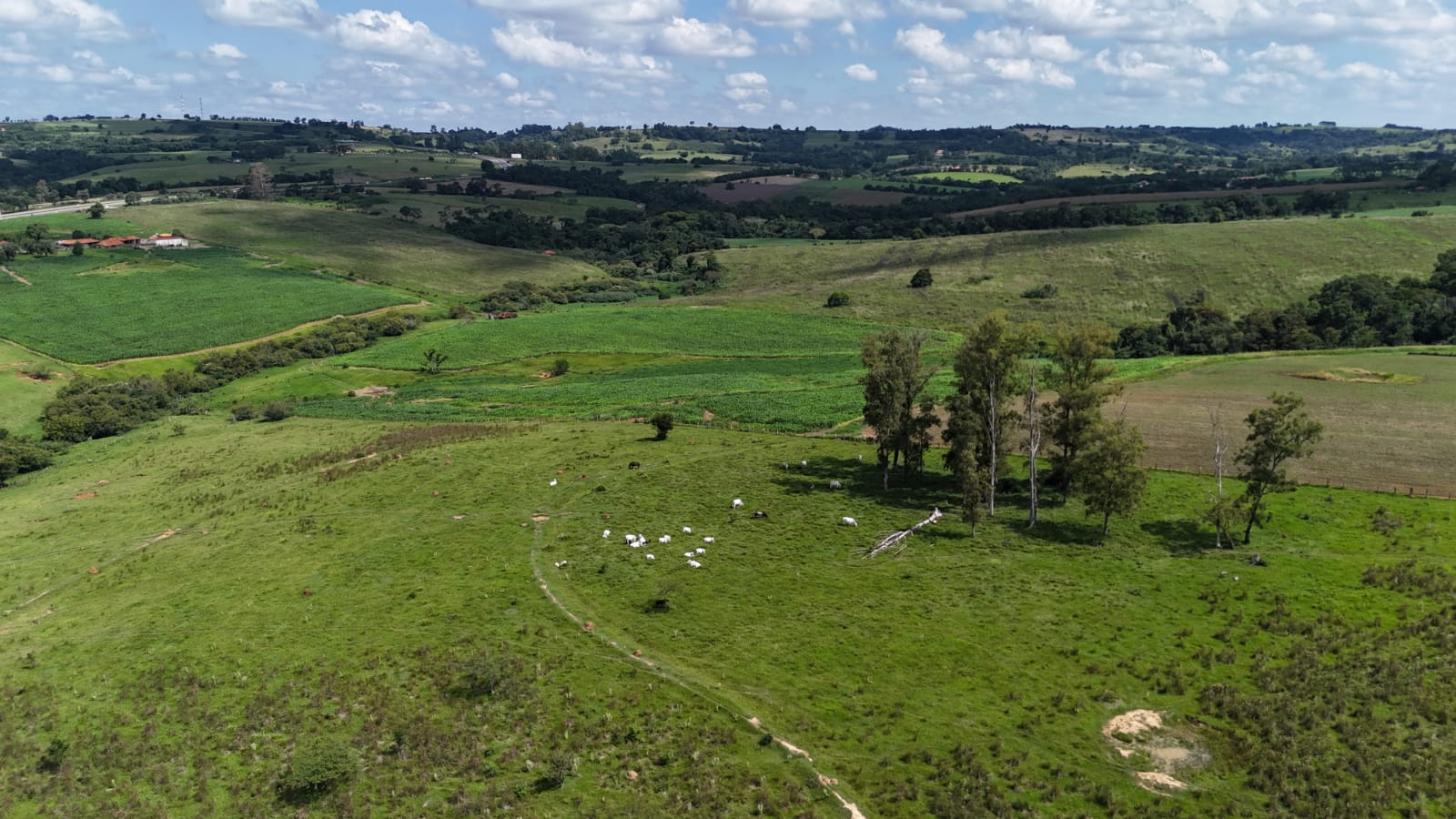 Rural com 3 Quartos à Venda, 220.000,00 m² - Foto 15