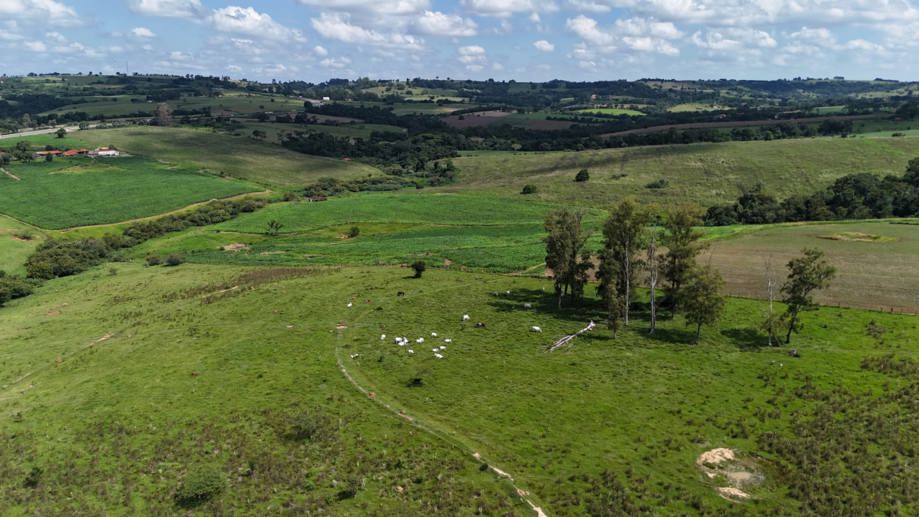 Rural com 3 Quartos à Venda, 220.000,00 m² - Foto 15