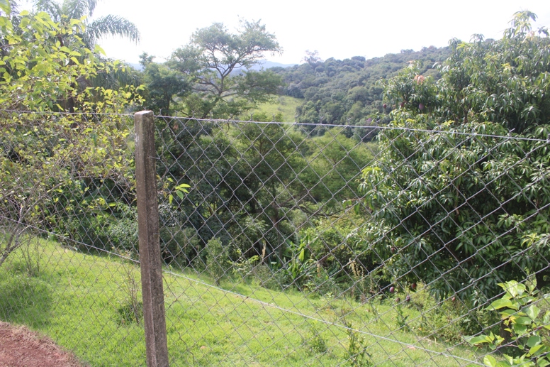 Rural com 4 Quartos à Venda, 3.000,00 m² - Foto 73