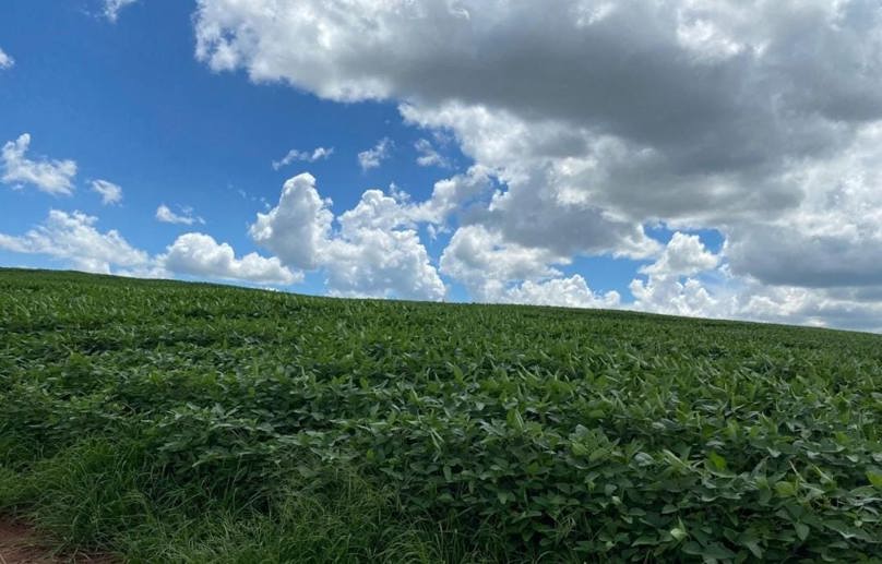 Rural com 4 Quartos à Venda, 240,00 m² - Foto 8