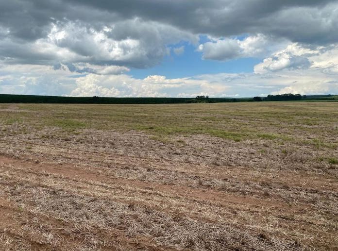 Rural com 4 Quartos à Venda, 240,00 m² - Foto 7