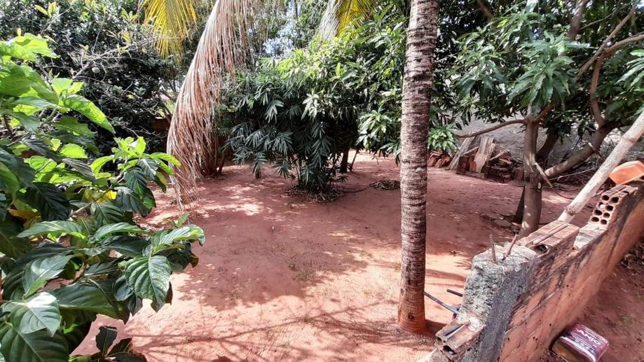 Casa com 3 Quartos à Venda, 468,00 m² - Foto 13
