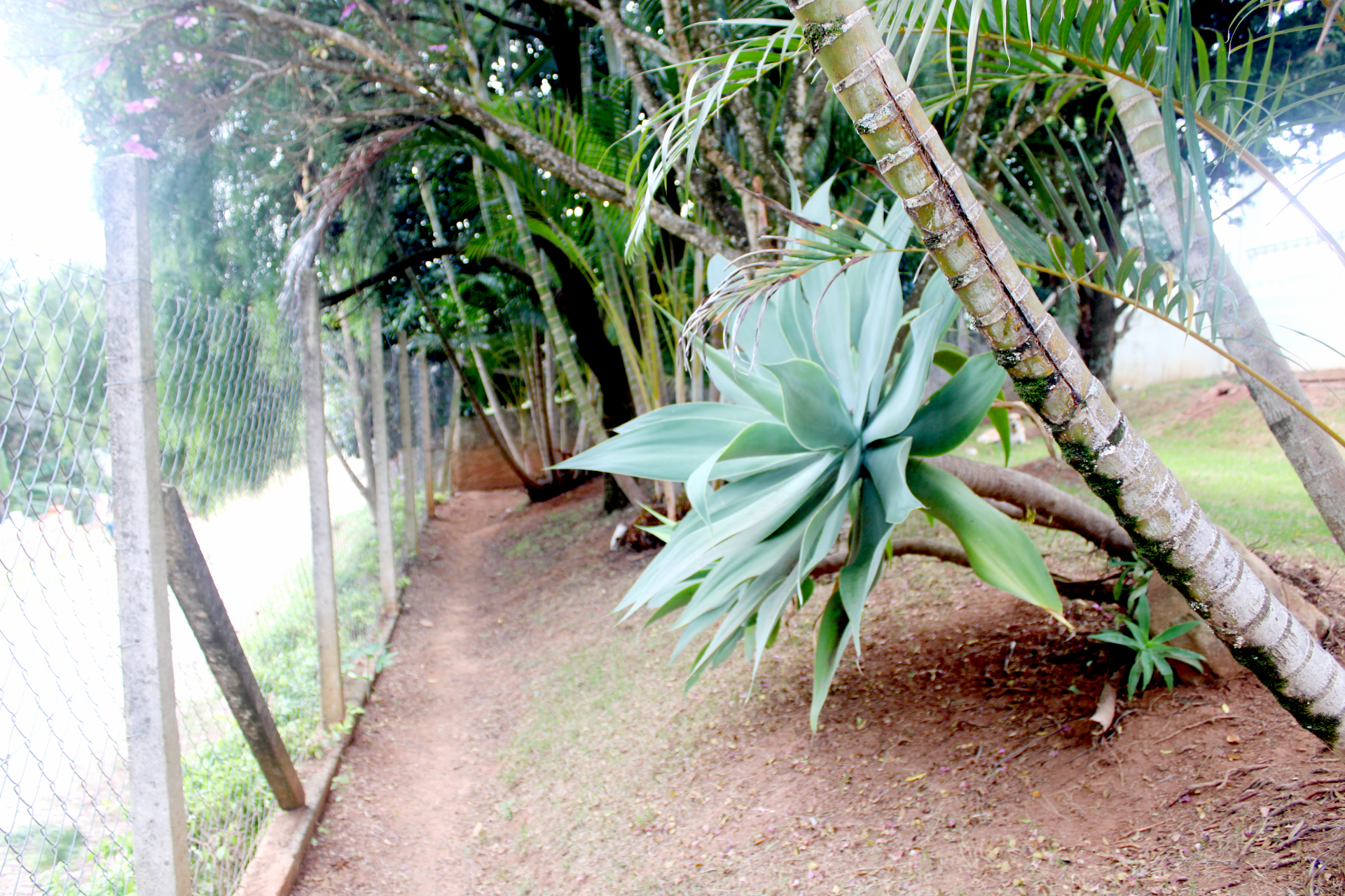 Rural com 4 Quartos à Venda, 3.000,00 m² - Foto 5