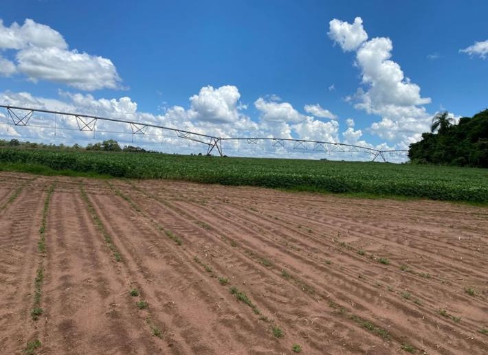 Rural com 4 Quartos à Venda, 240,00 m² - Foto 13