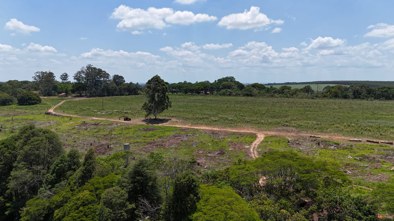 Rural com 4 Quartos à Venda, 242.000,00 m² - Foto 8