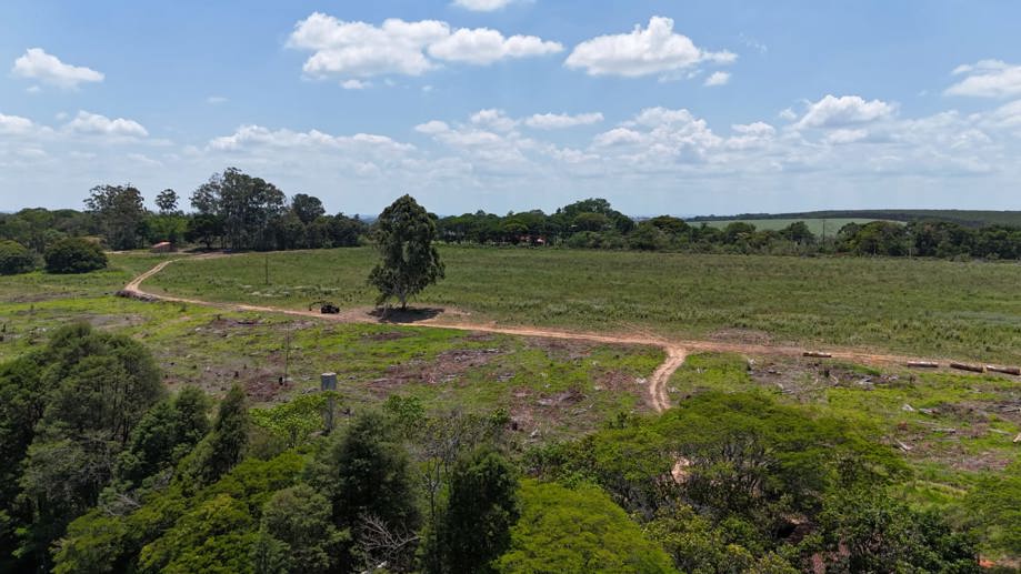 Rural com 4 Quartos à Venda, 242.000,00 m² - Foto 8